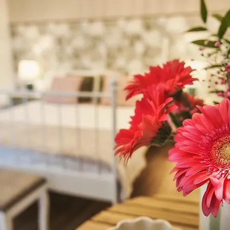 Delta Dreams Guest house *